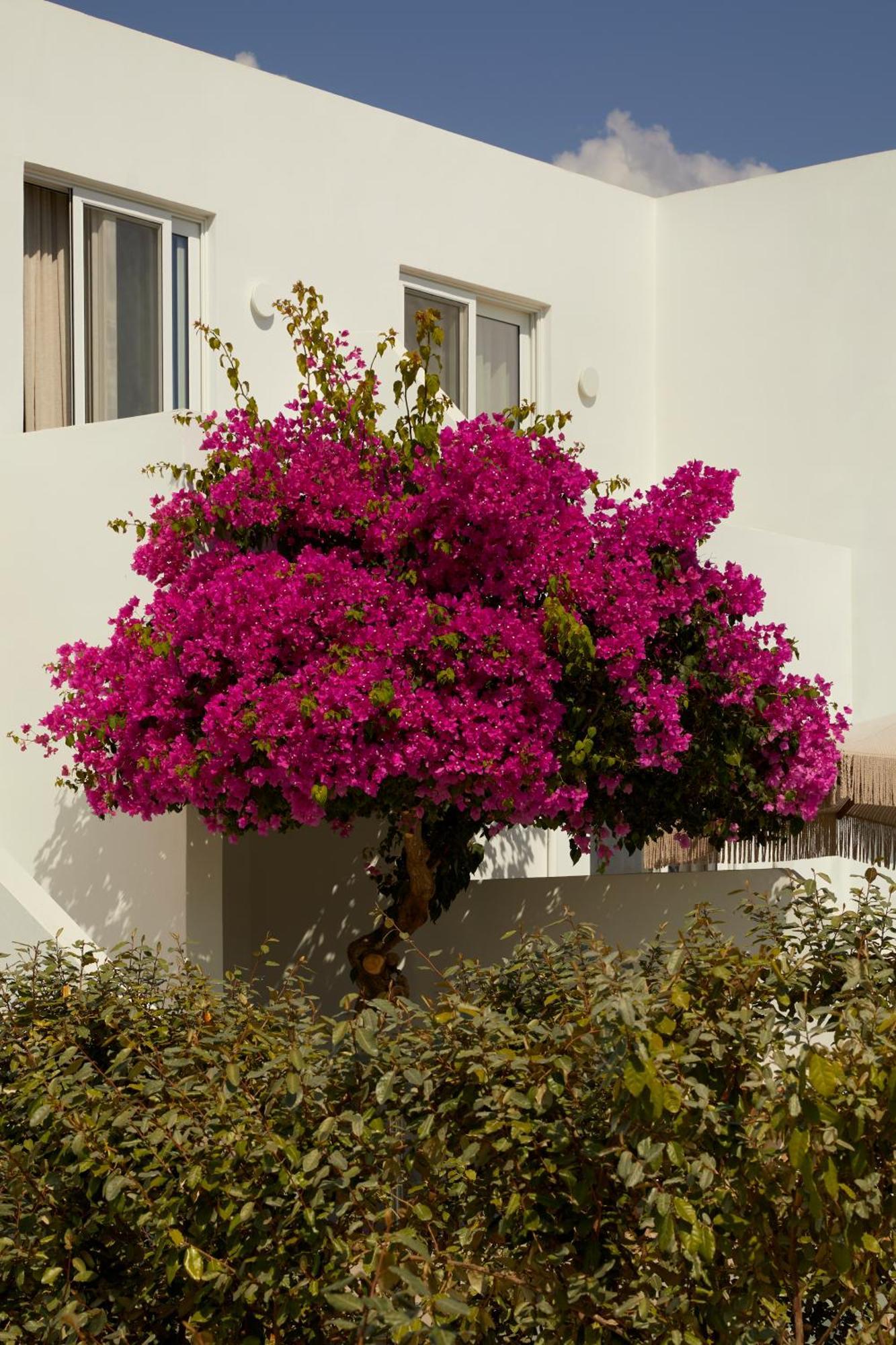 Absolute Kiotari Resort Asklipiion Bagian luar foto